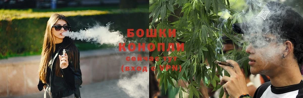 прущие крисы Сатка