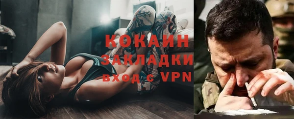 крисы Алексин