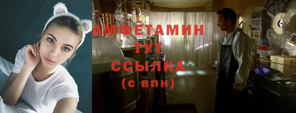 крисы Алексин