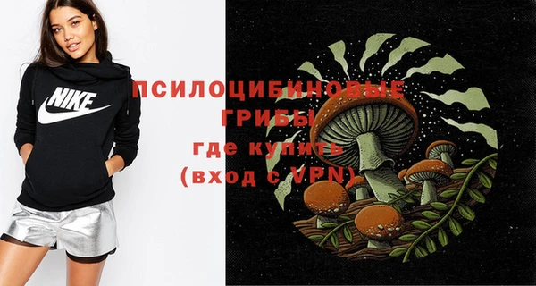 крисы Алексин
