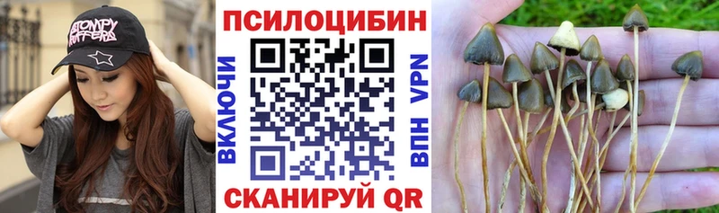 Галлюциногенные грибы Cubensis где можно купить наркотик сайты даркнета как зайти Луга