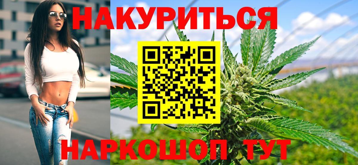 Шишки марихуана конопля Луга